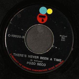 POZO SECO