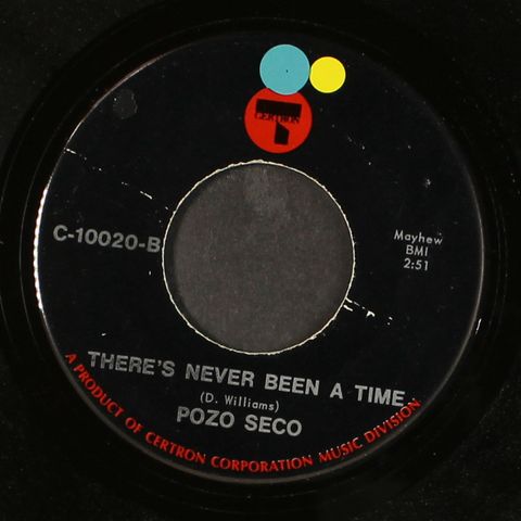 POZO SECO