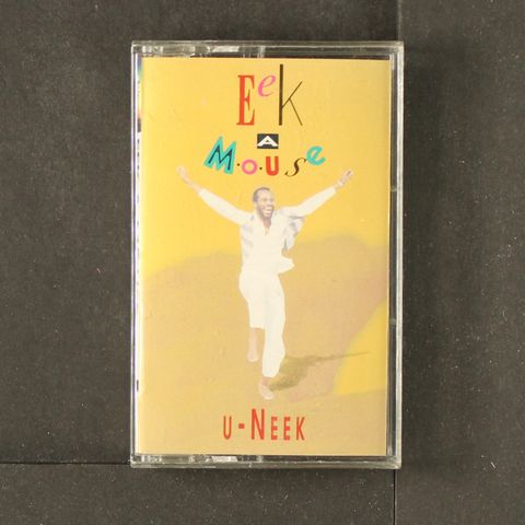 EEK A MOUSE