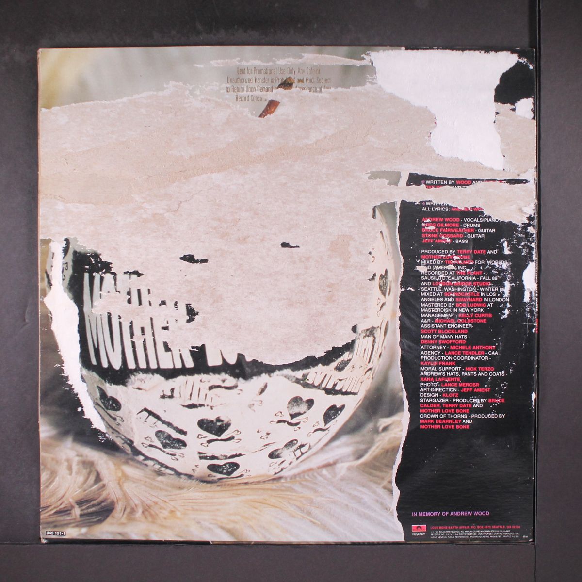 apple by MOTHER LOVE BONE