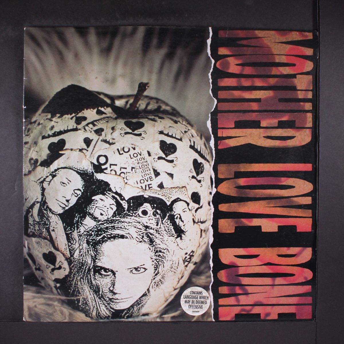 apple by MOTHER LOVE BONE