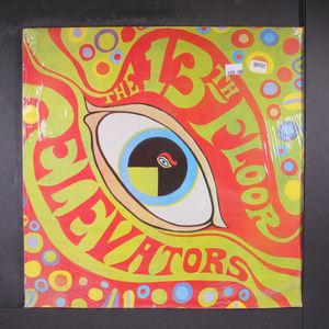 THIRTEENTH FLOOR ELEVATORS