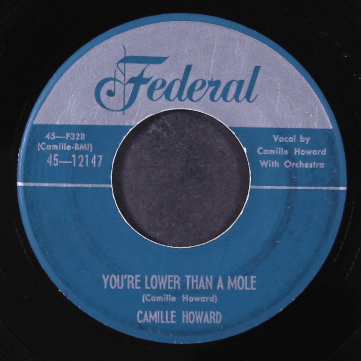 losing your mind / you're lower than a mole by CAMILLE HOWARD