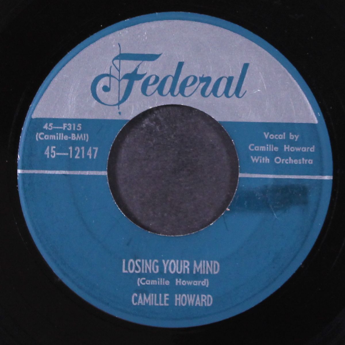 losing your mind / you're lower than a mole by CAMILLE HOWARD