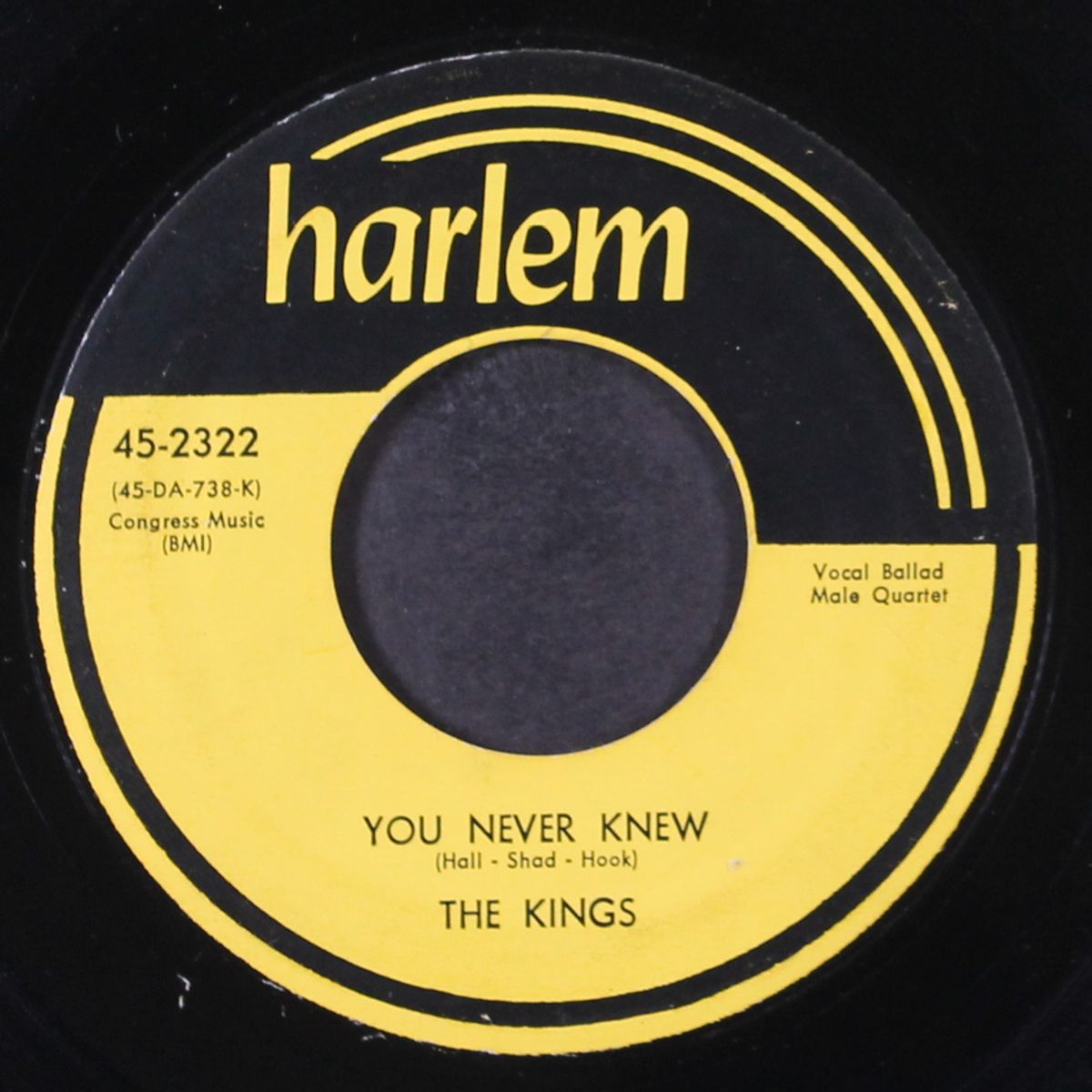 fire in my heart / you never knew by BOBBY HALL & KINGS