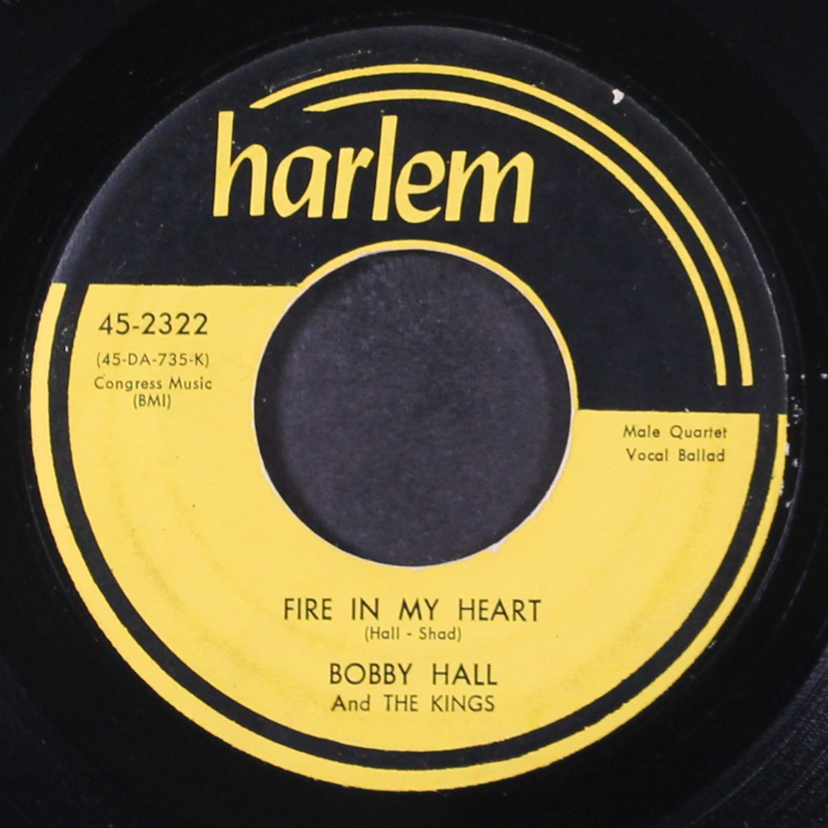 fire in my heart / you never knew by BOBBY HALL & KINGS