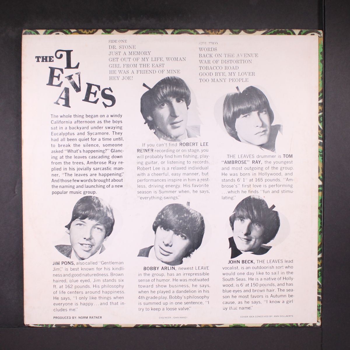 hey joe by LEAVES