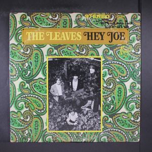 LEAVES
