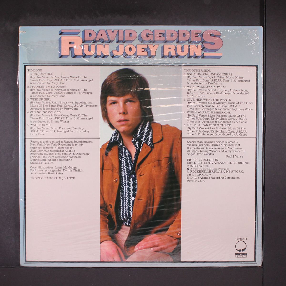 run joey run by DAVID GEDDES
