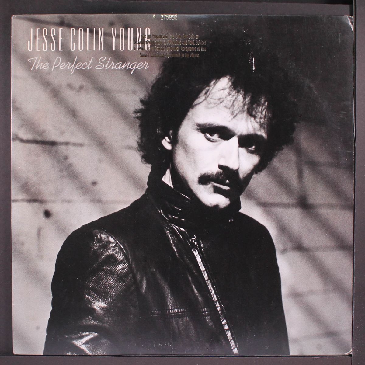 the perfect stranger by JESSE COLIN YOUNG