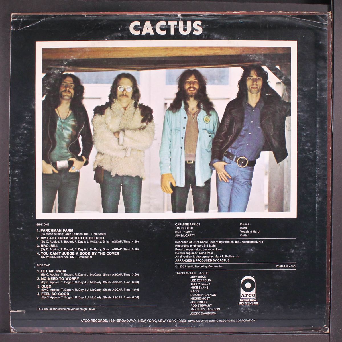 cactus by CACTUS