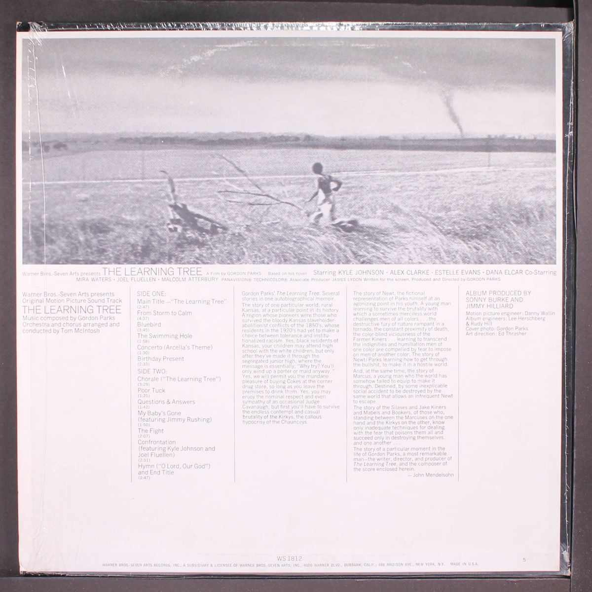 the learning tree by SOUNDTRACK