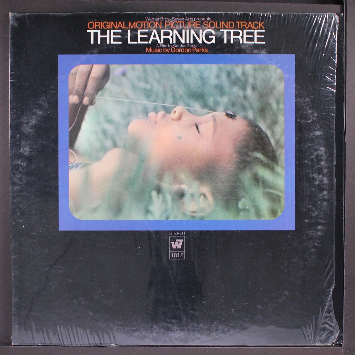 the learning tree by SOUNDTRACK