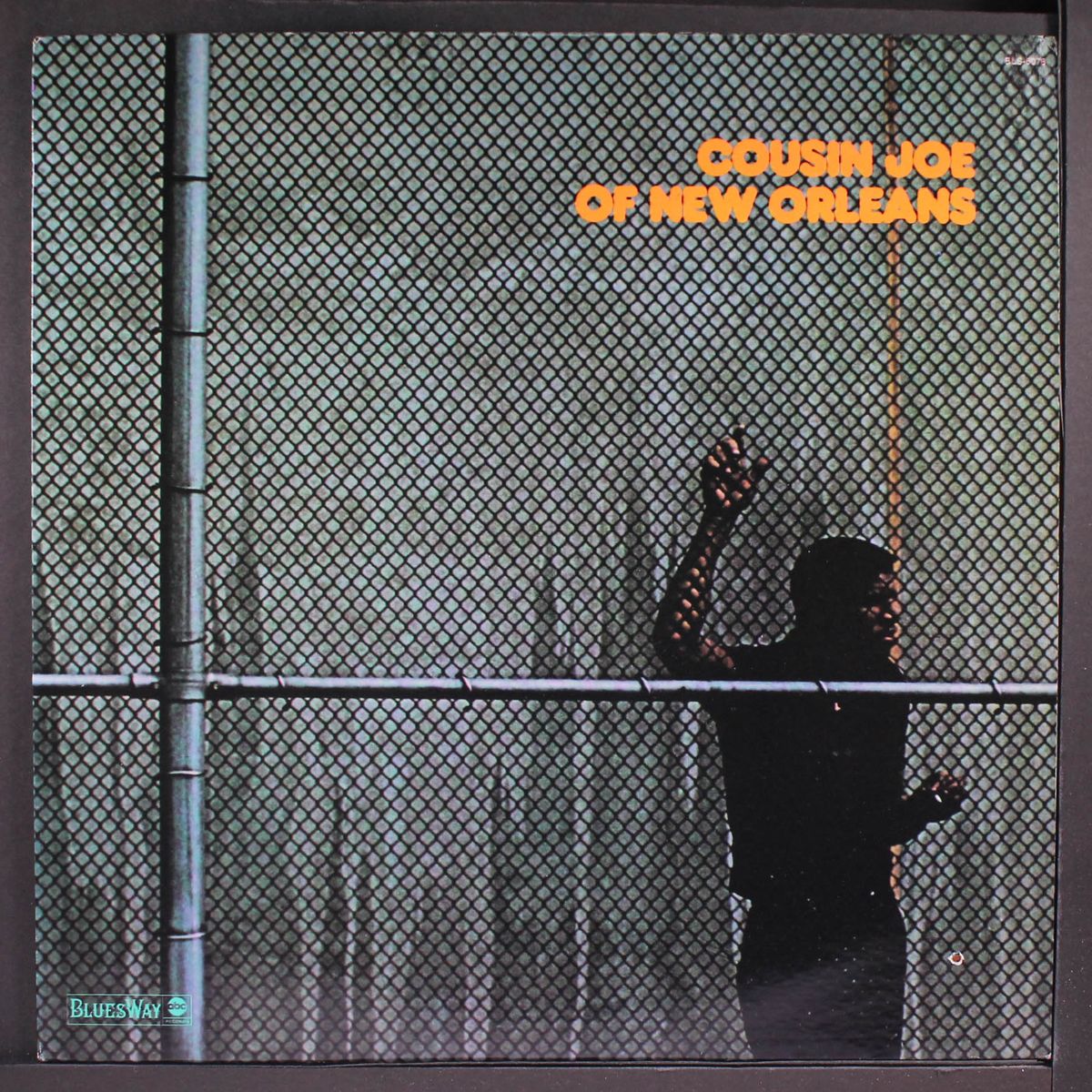 of new orleans by COUSIN JOE
