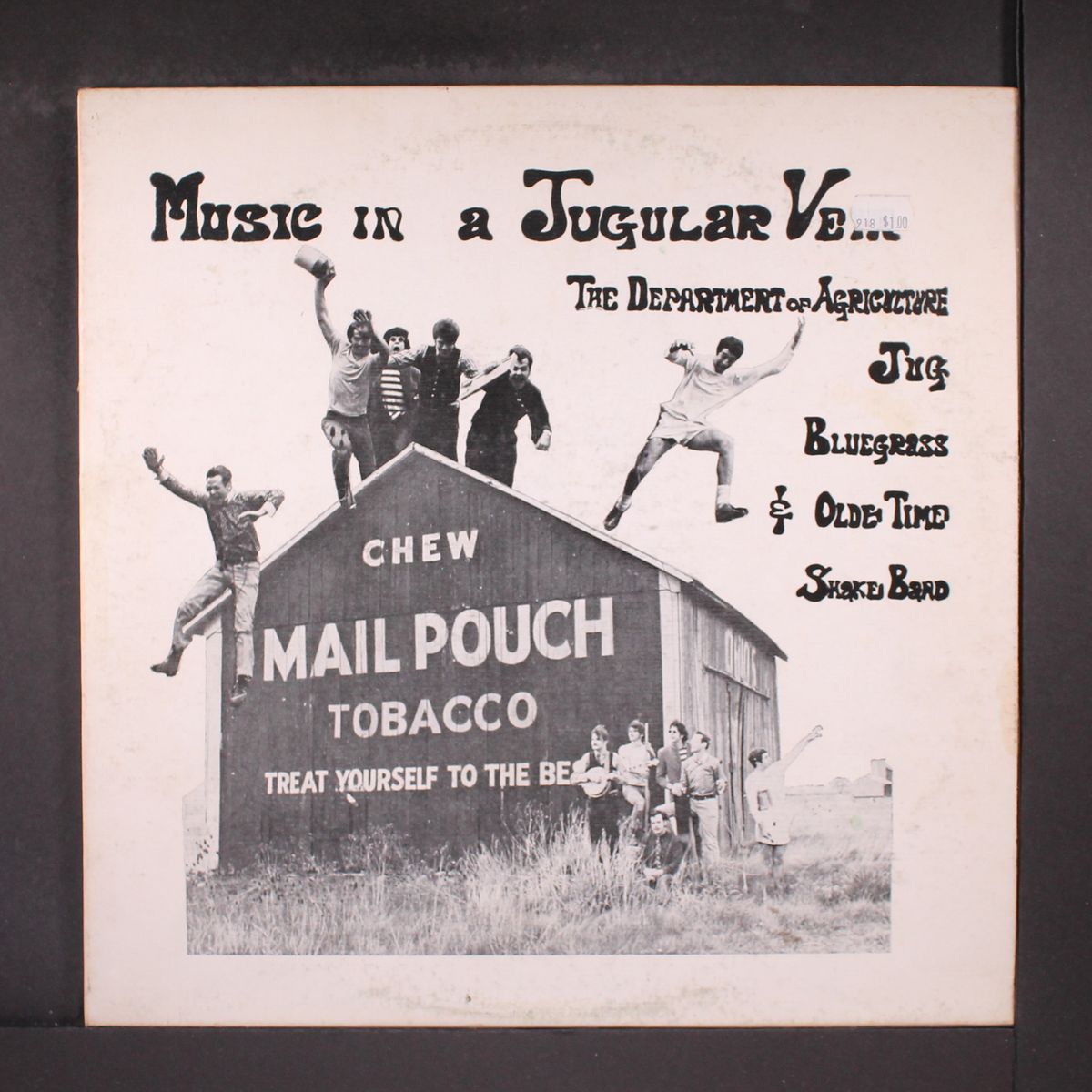music in a jugular vein by DEPARTMENT OF AGRICULTURE JUG, BLUEGRASS