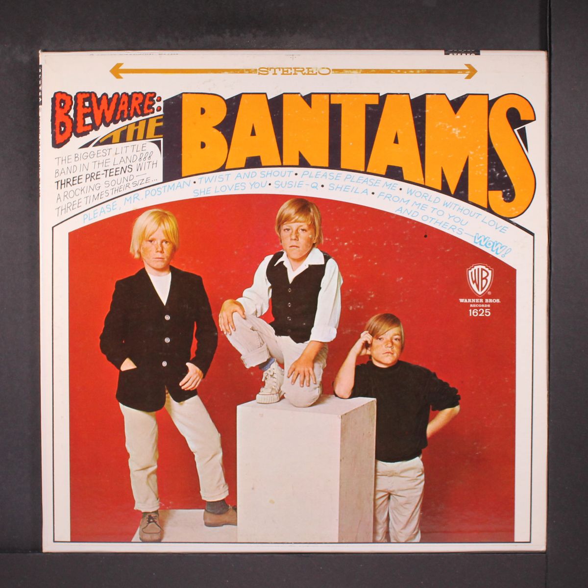 beware: the bantams by BANTAMS