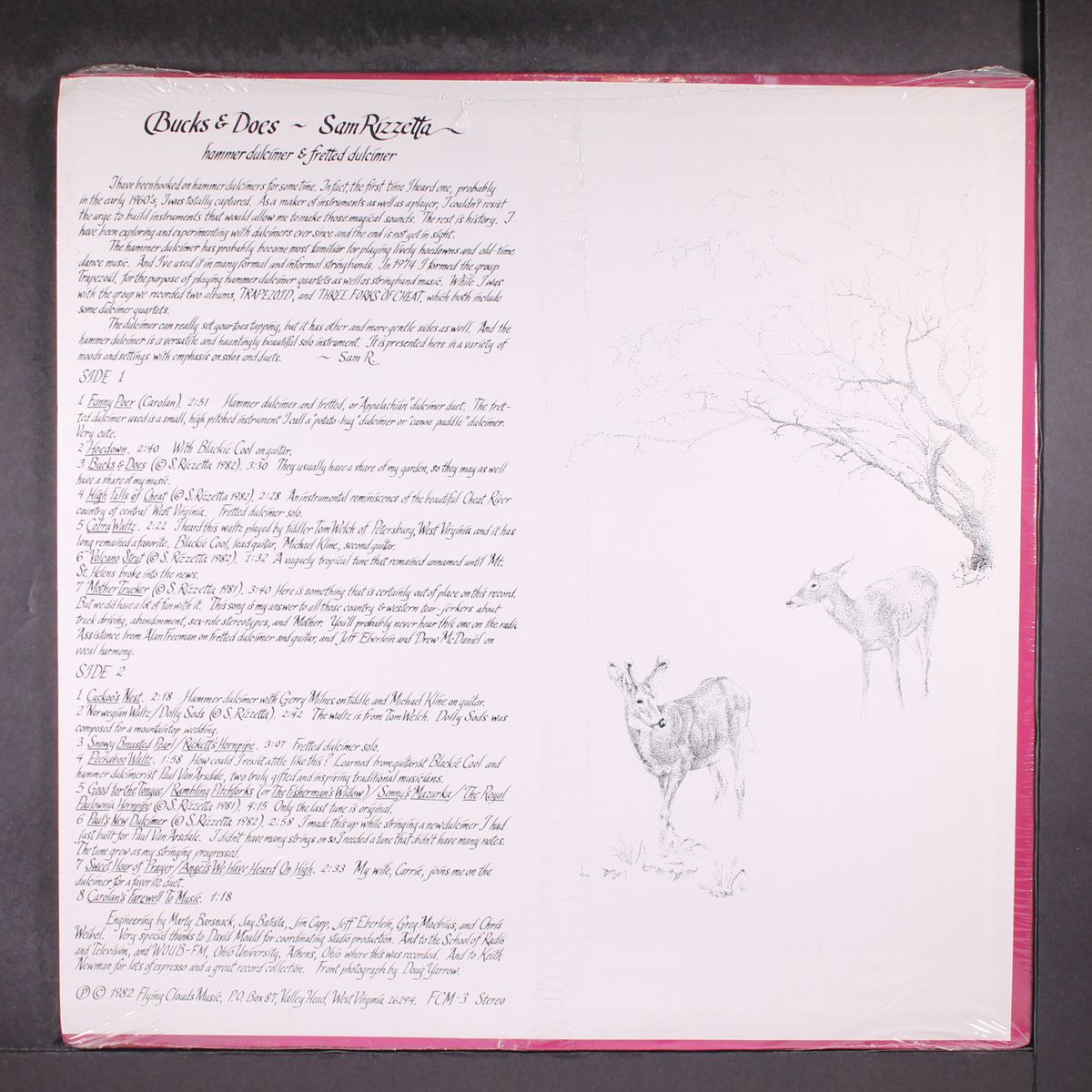 bucks & does- hammer & fretted dulcimer by SAM RIZZETTA