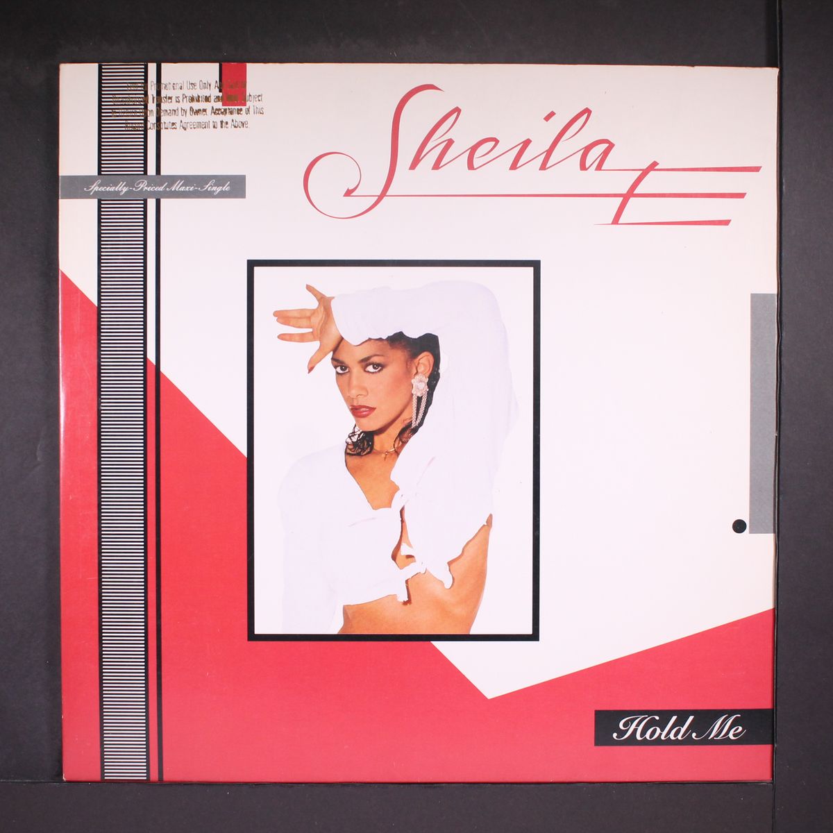 hold me by SHEILA E.