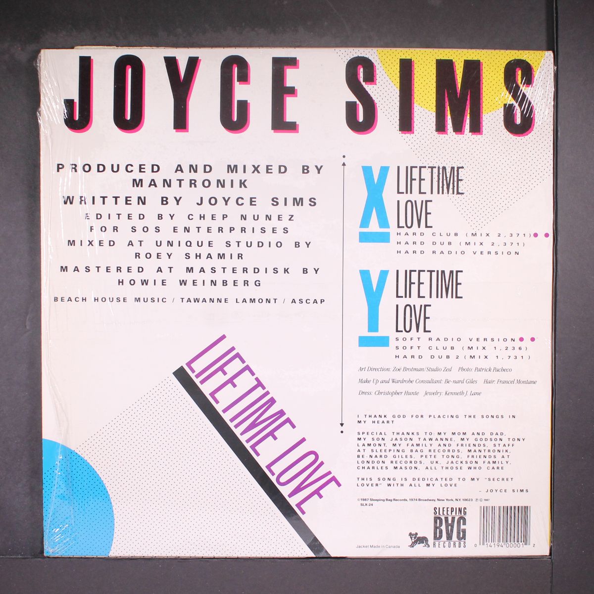 lifetime love by JOYCE SIMS