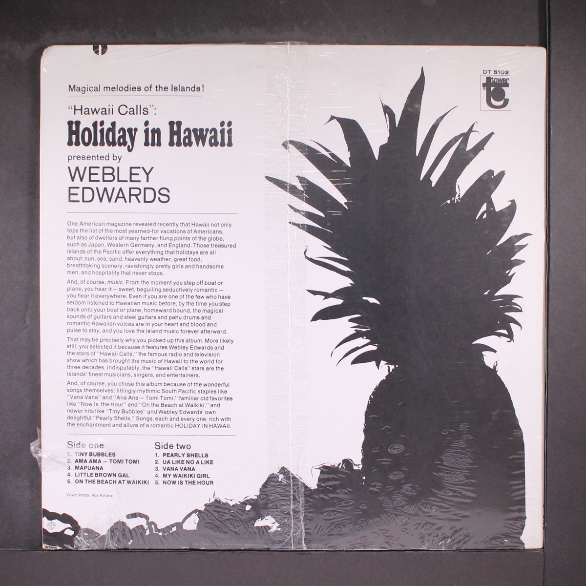 holiday in hawaii by WEBLEY EDWARDS