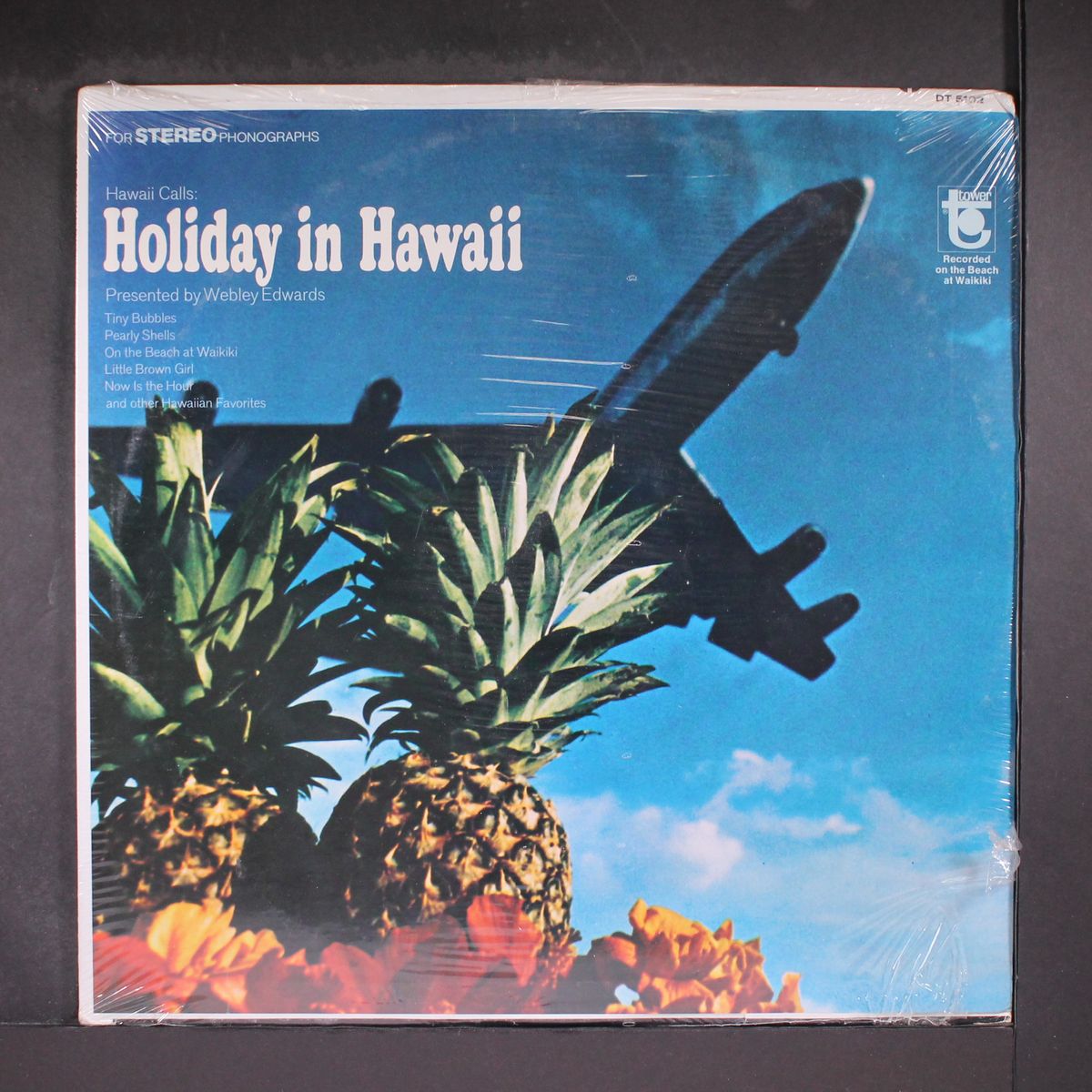 holiday in hawaii by WEBLEY EDWARDS