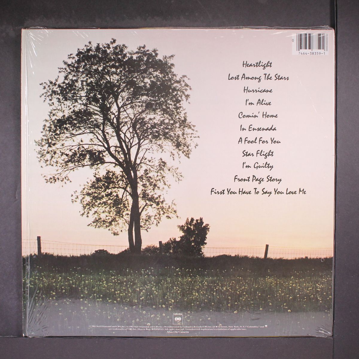 heartlight by NEIL DIAMOND