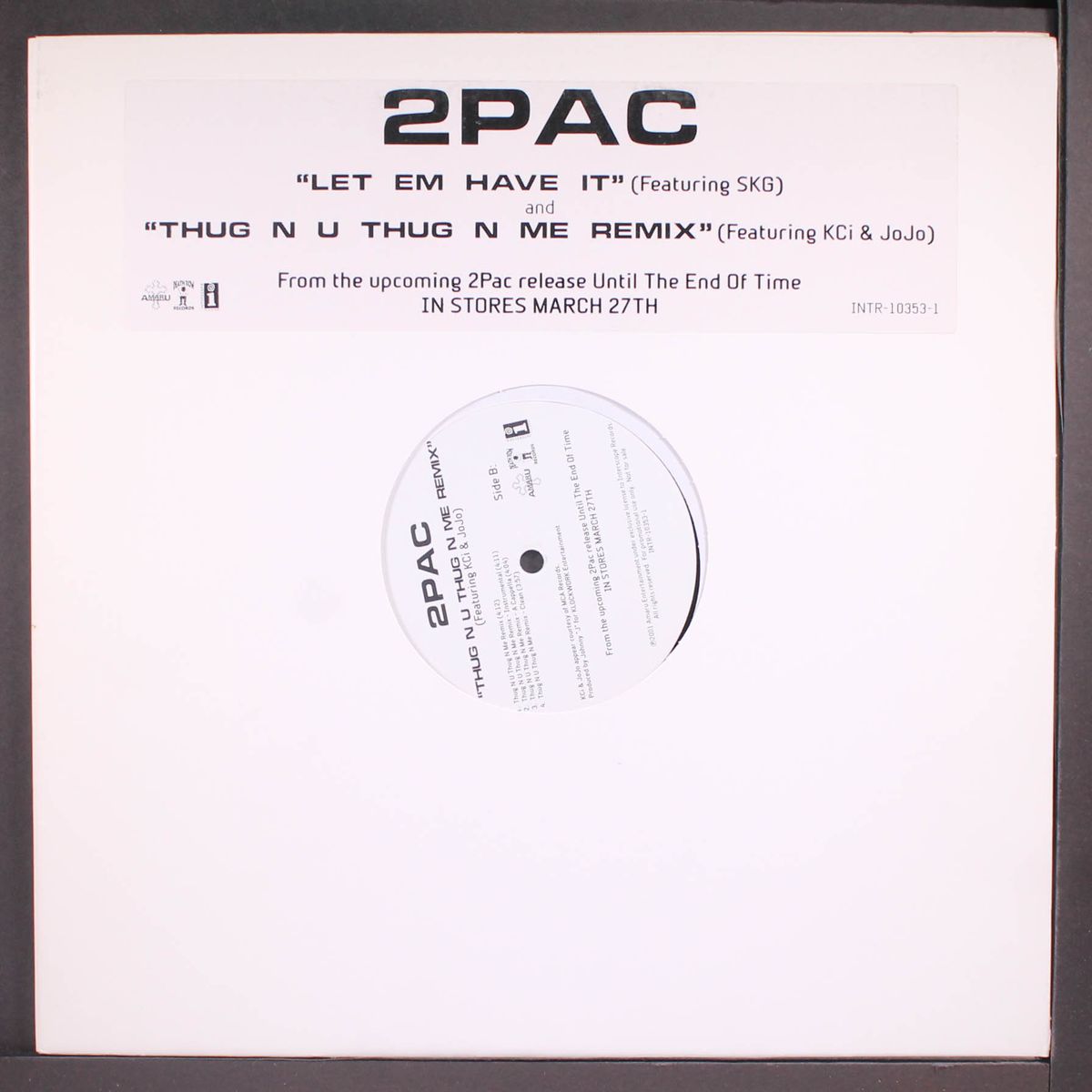 let em have it / thug in you remix by 2PAC