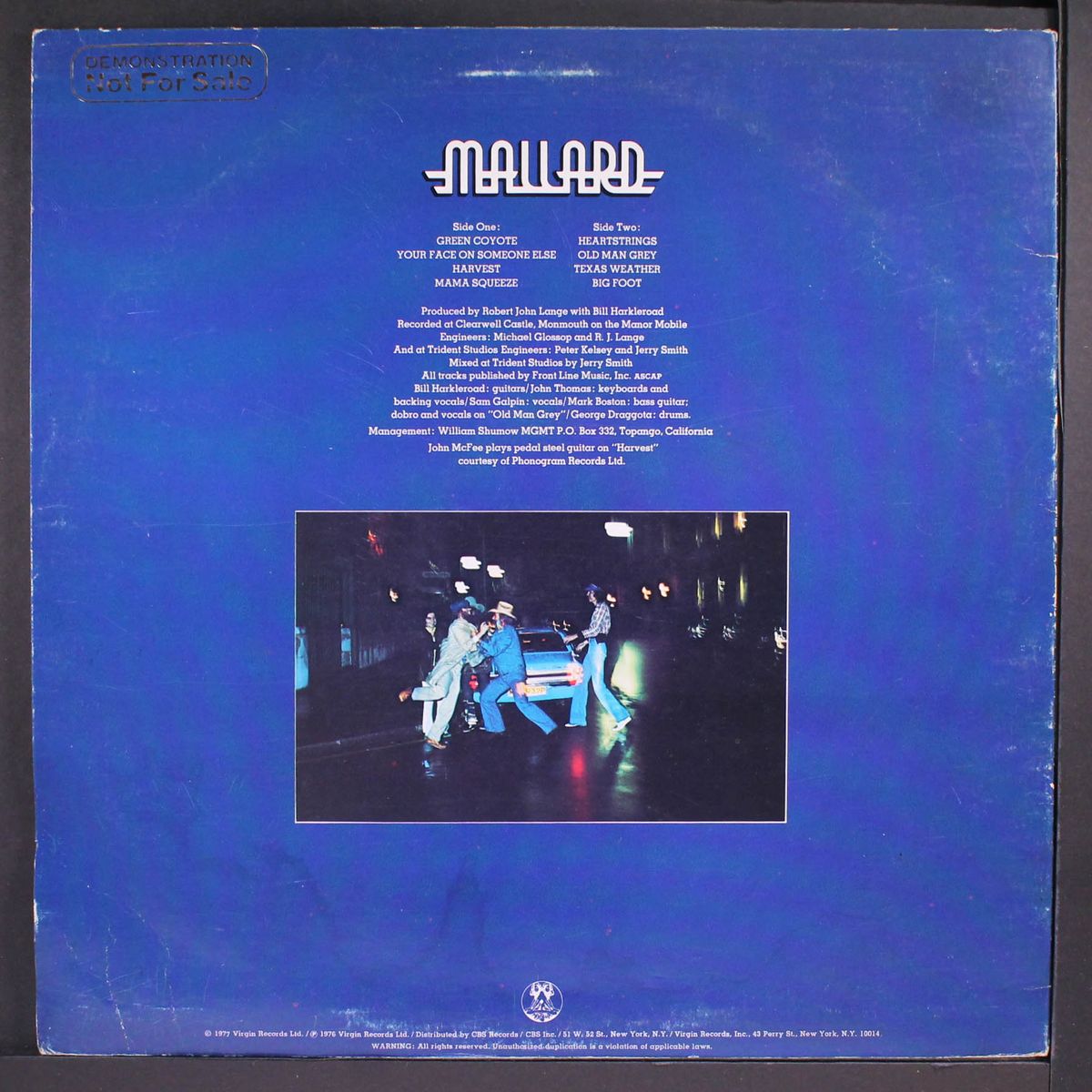 in a different climate by MALLARD
