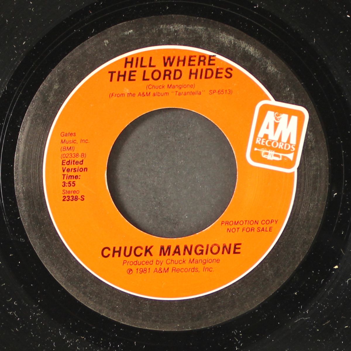hill where the lord hides / mono by CHUCK MANGIONE