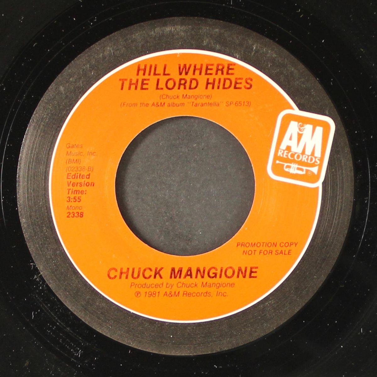 hill where the lord hides / mono by CHUCK MANGIONE