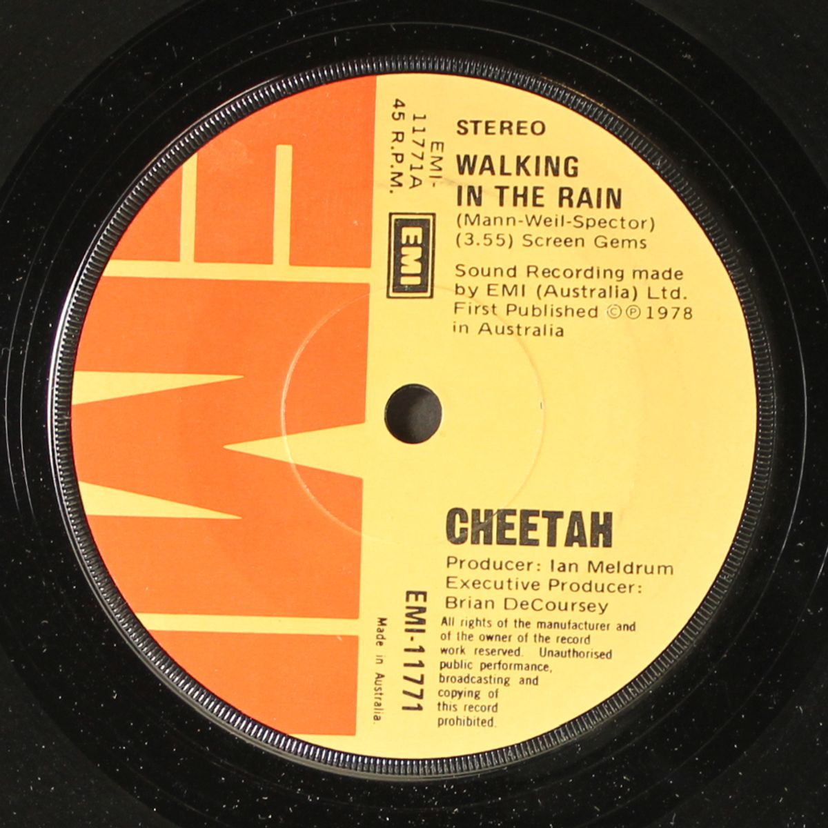walking in the rain by CHEETAH