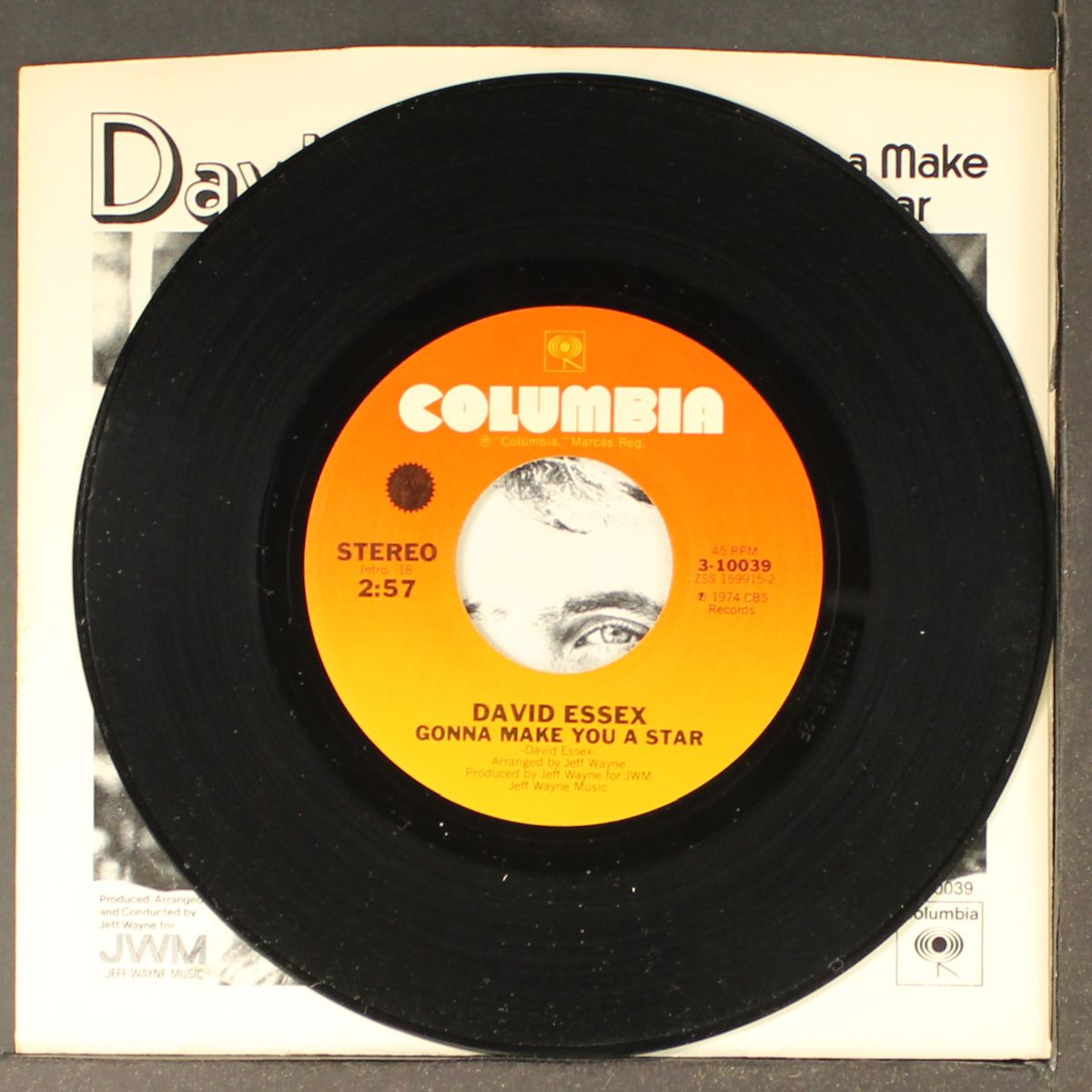 gonna make you a star by DAVID ESSEX