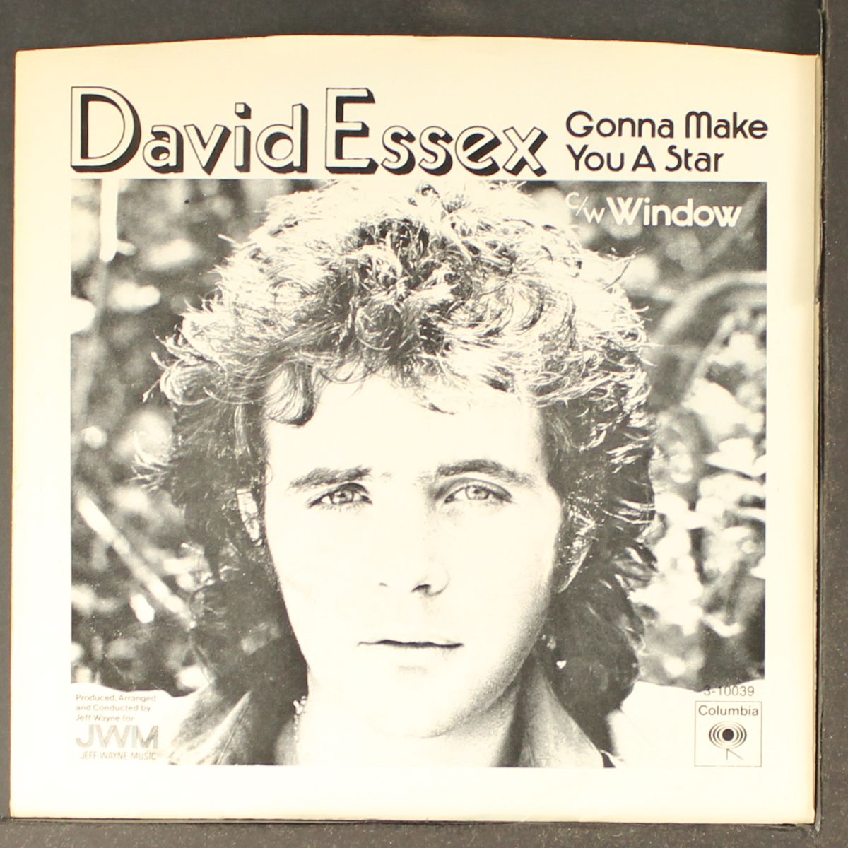 gonna make you a star by DAVID ESSEX