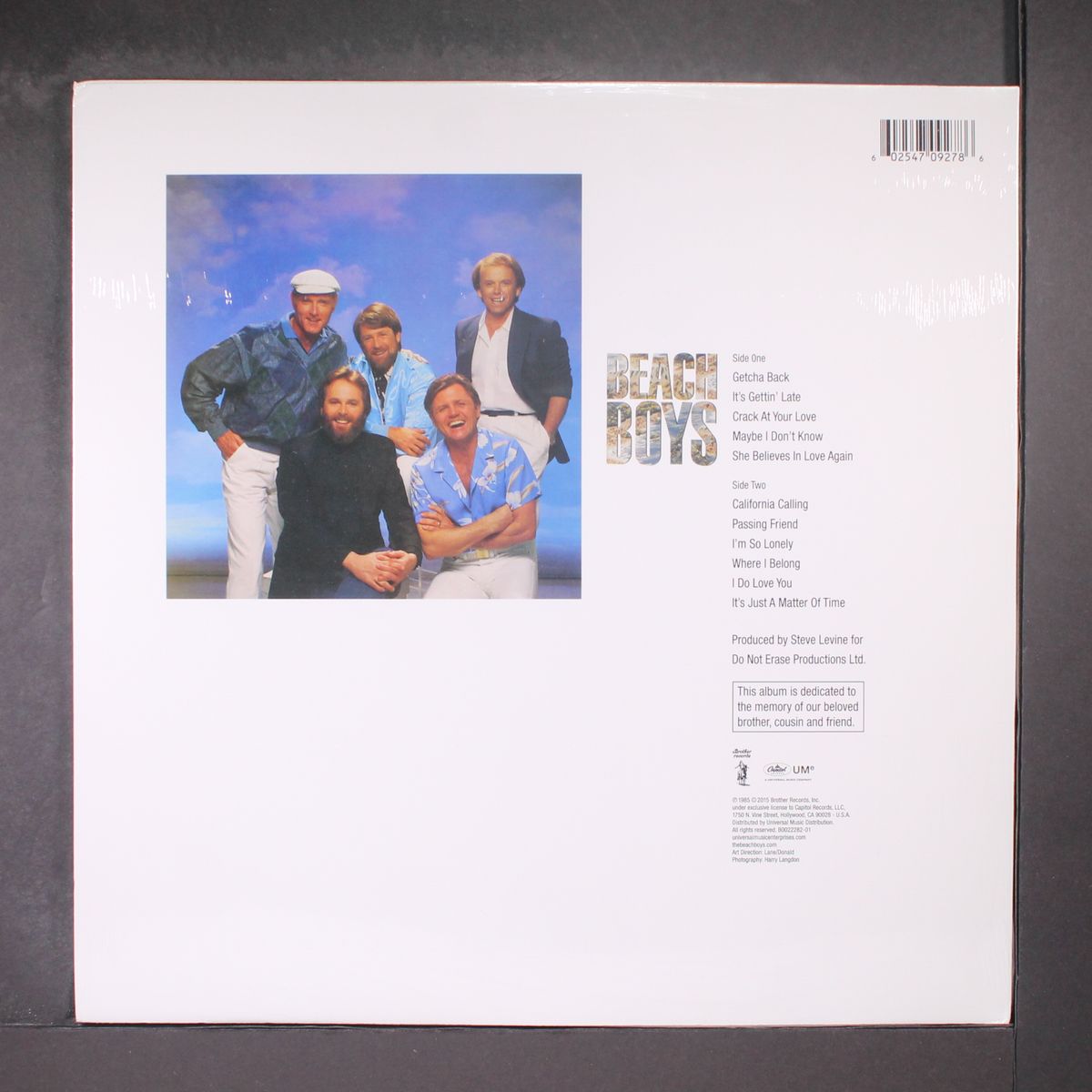 the beach boys by BEACH BOYS