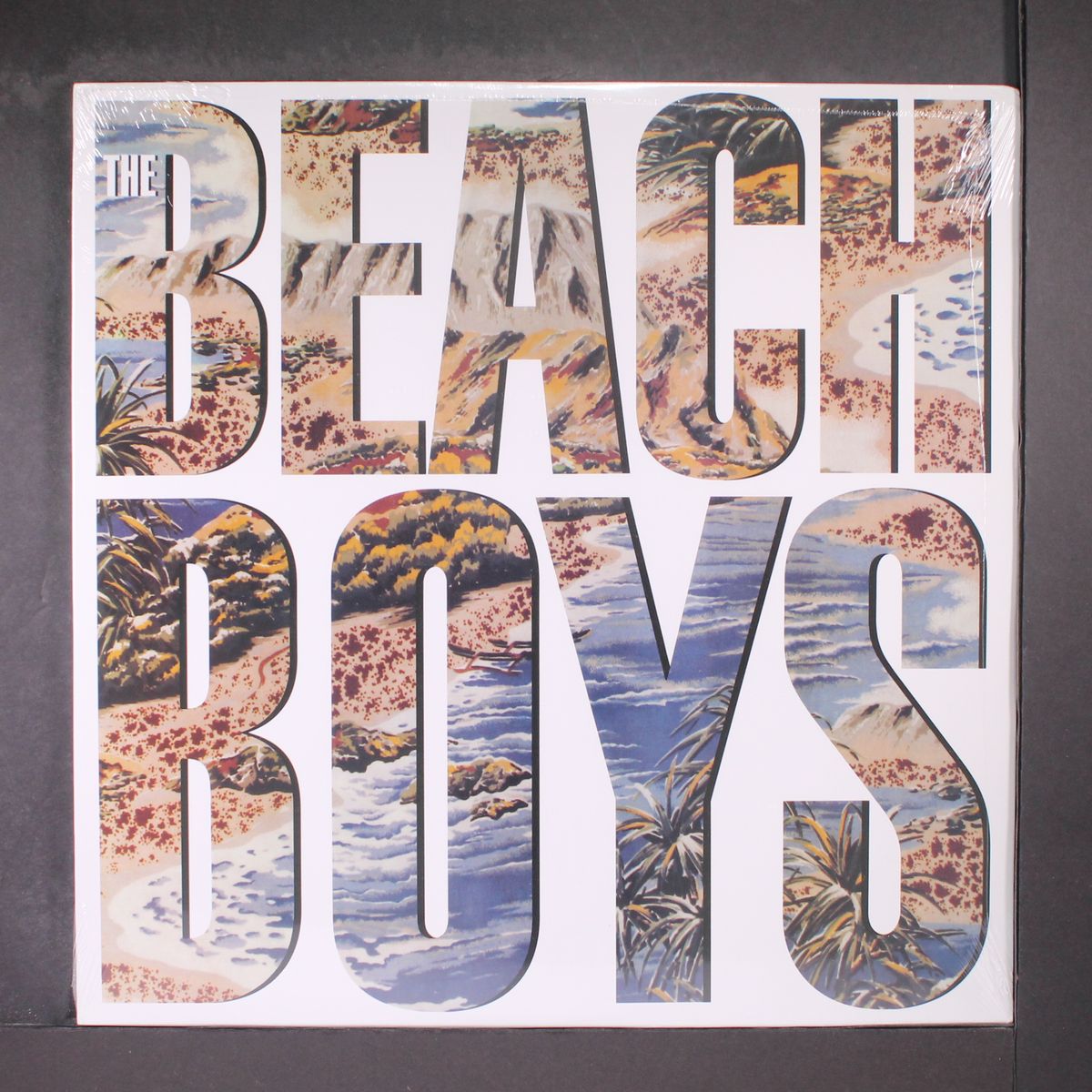 the beach boys by BEACH BOYS
