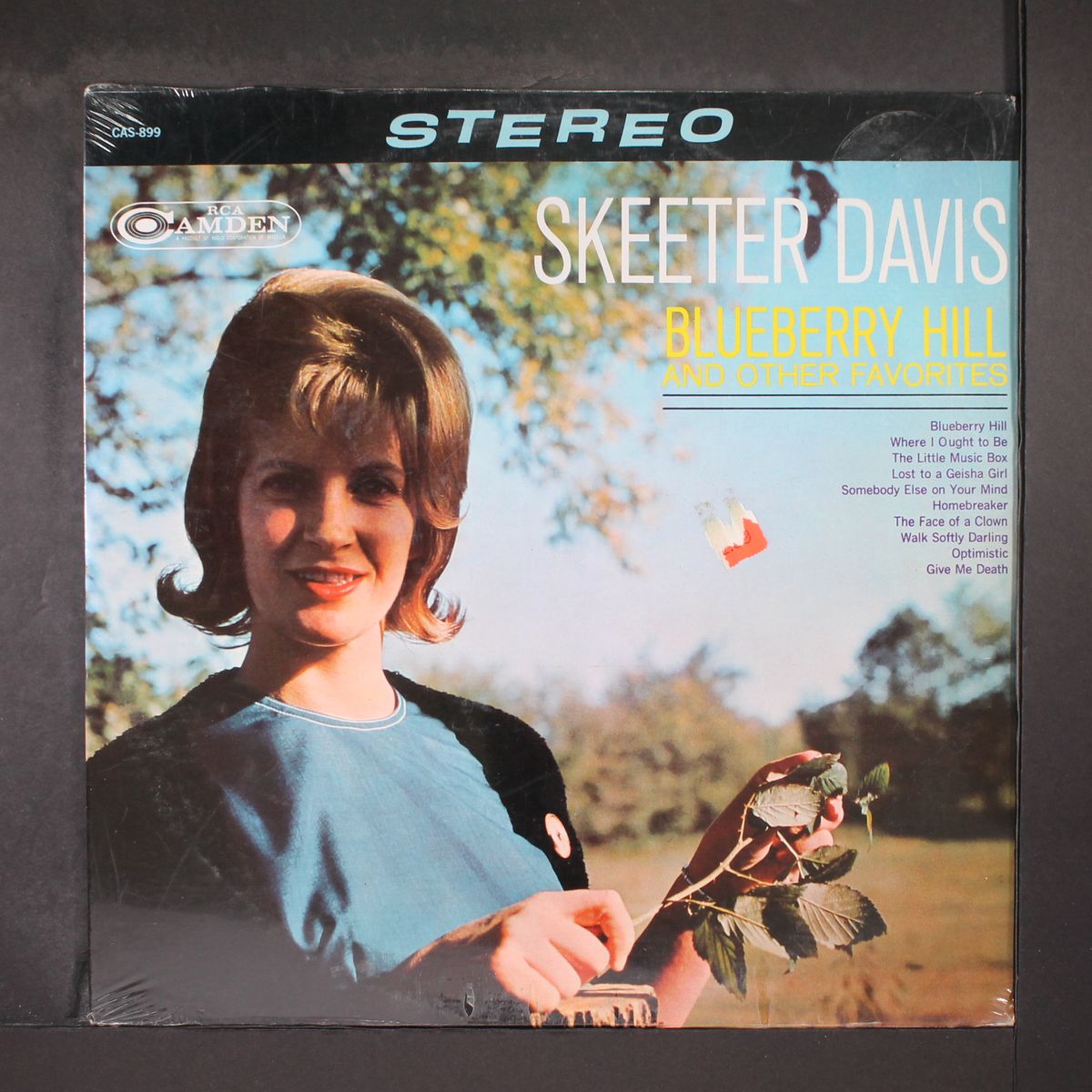 blueberry hill by SKEETER DAVIS