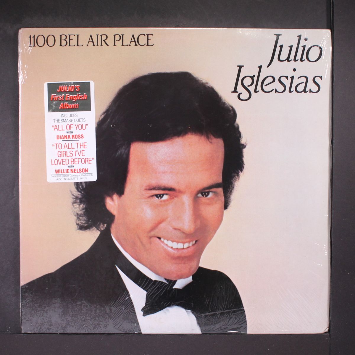 1100 bel air place by JULIO IGLESIAS