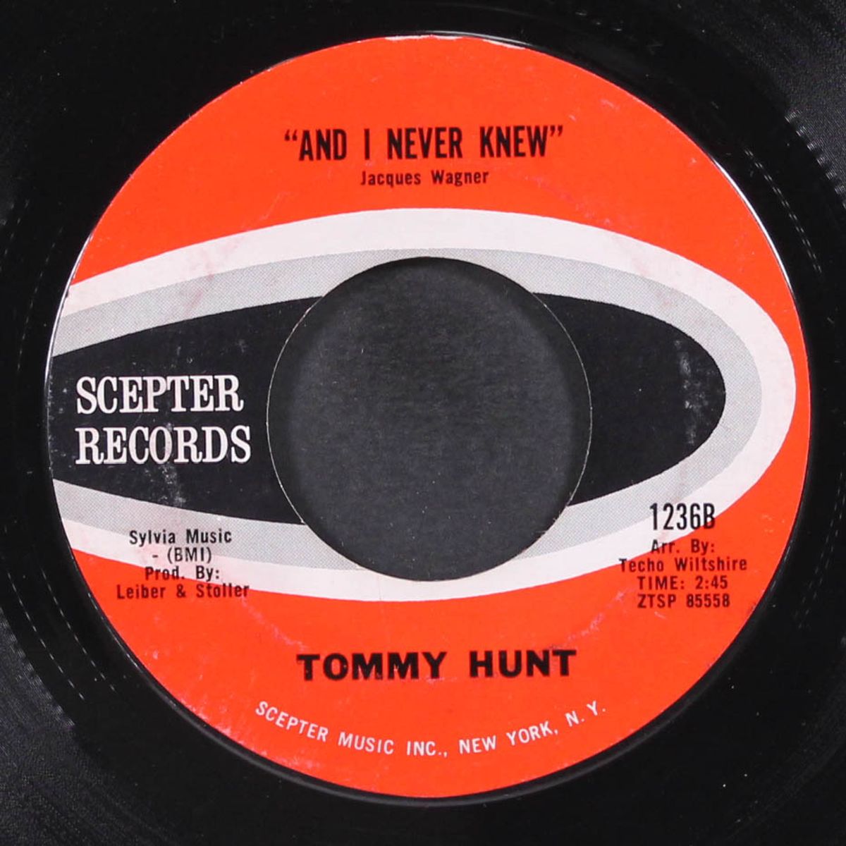 i just don't know what to do with myself / and i never knew by TOMMY HUNT