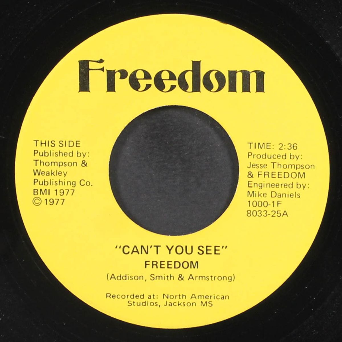 can't you see / sunshine by FREEDOM