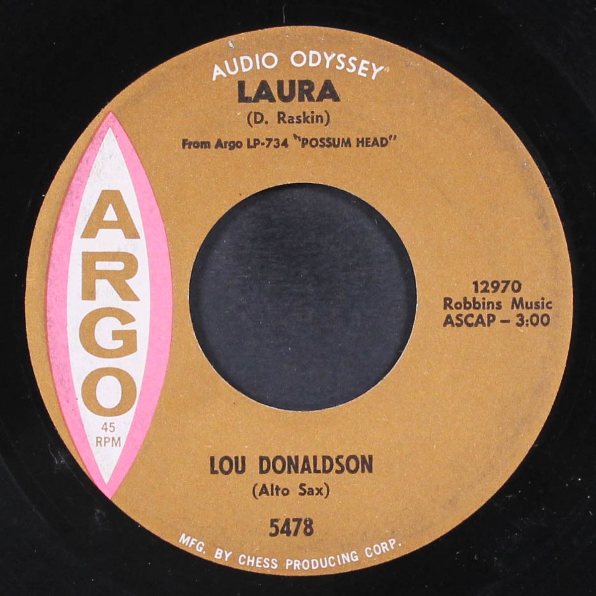 possum head / laura by LOU DONALDSON