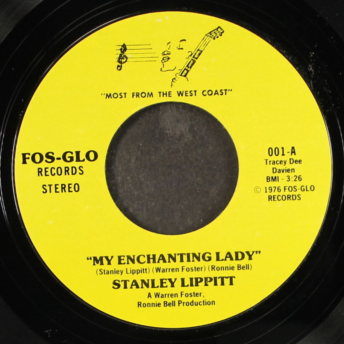 my enchanting lady / 20-20 vision by STANLEY LIPPITT