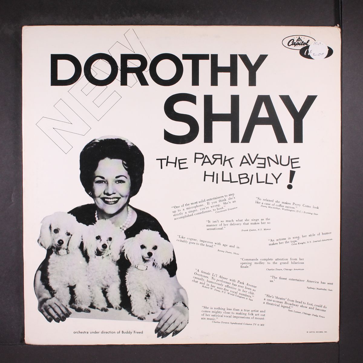 the park avenue hillbilly by DOROTHY SHAY