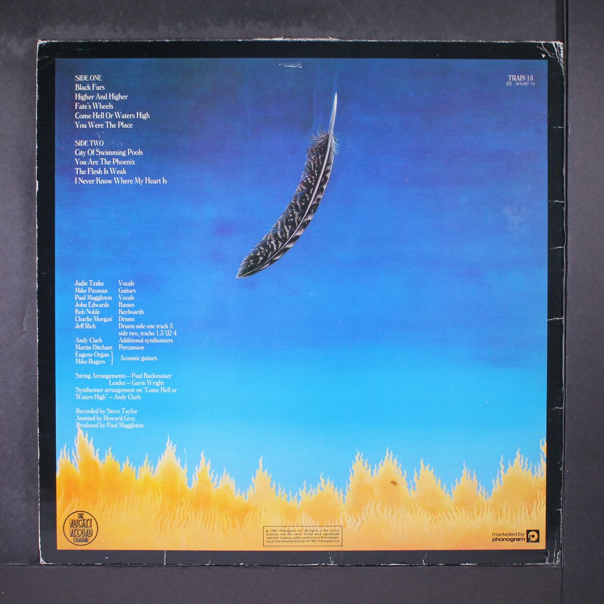 i am the phoenix by JUDIE TZUKE