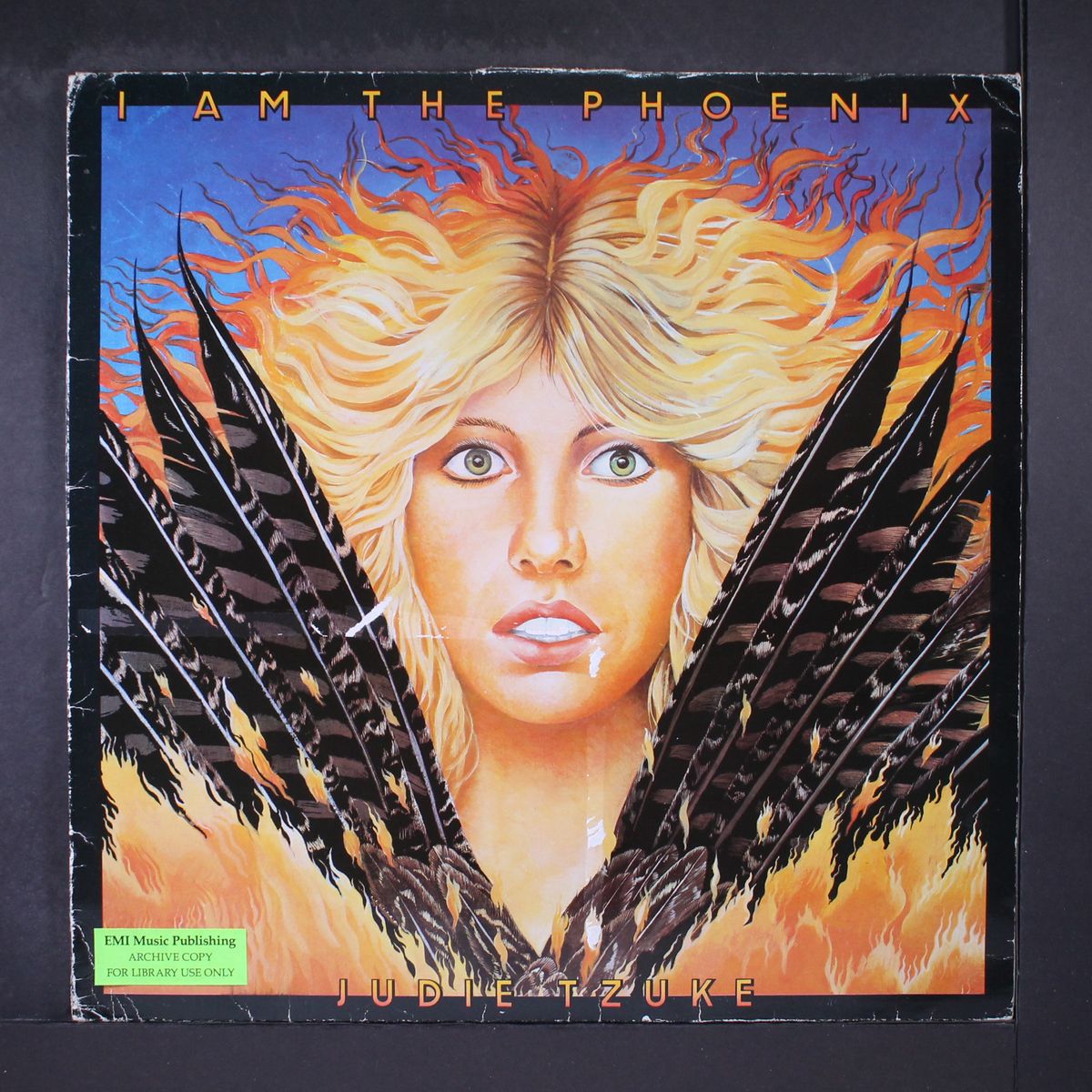 i am the phoenix by JUDIE TZUKE