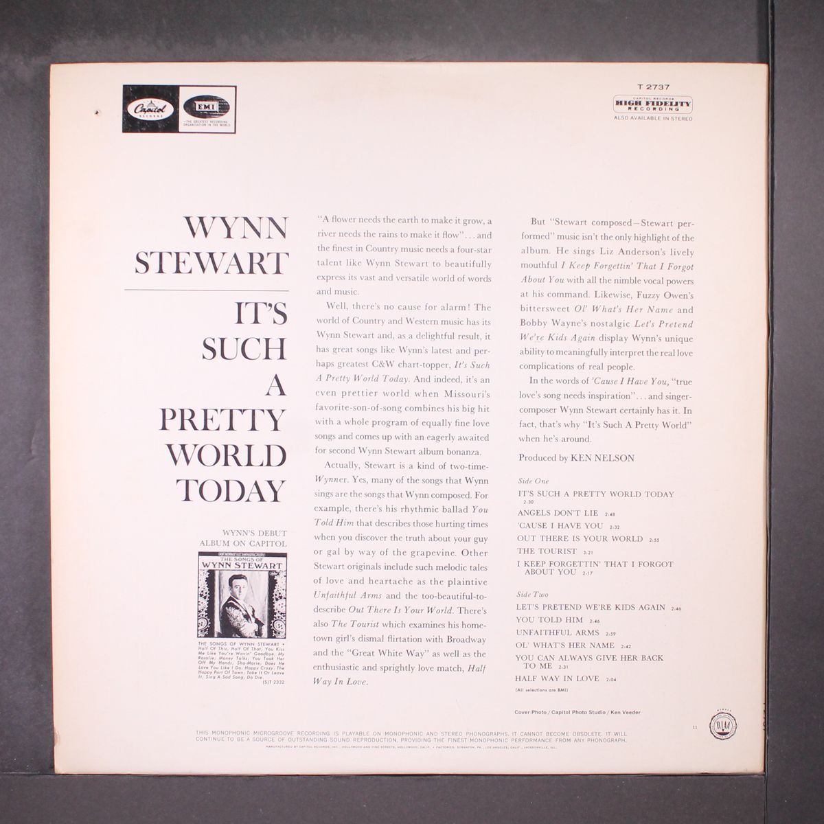 it's such a pretty world today by WYNN STEWART