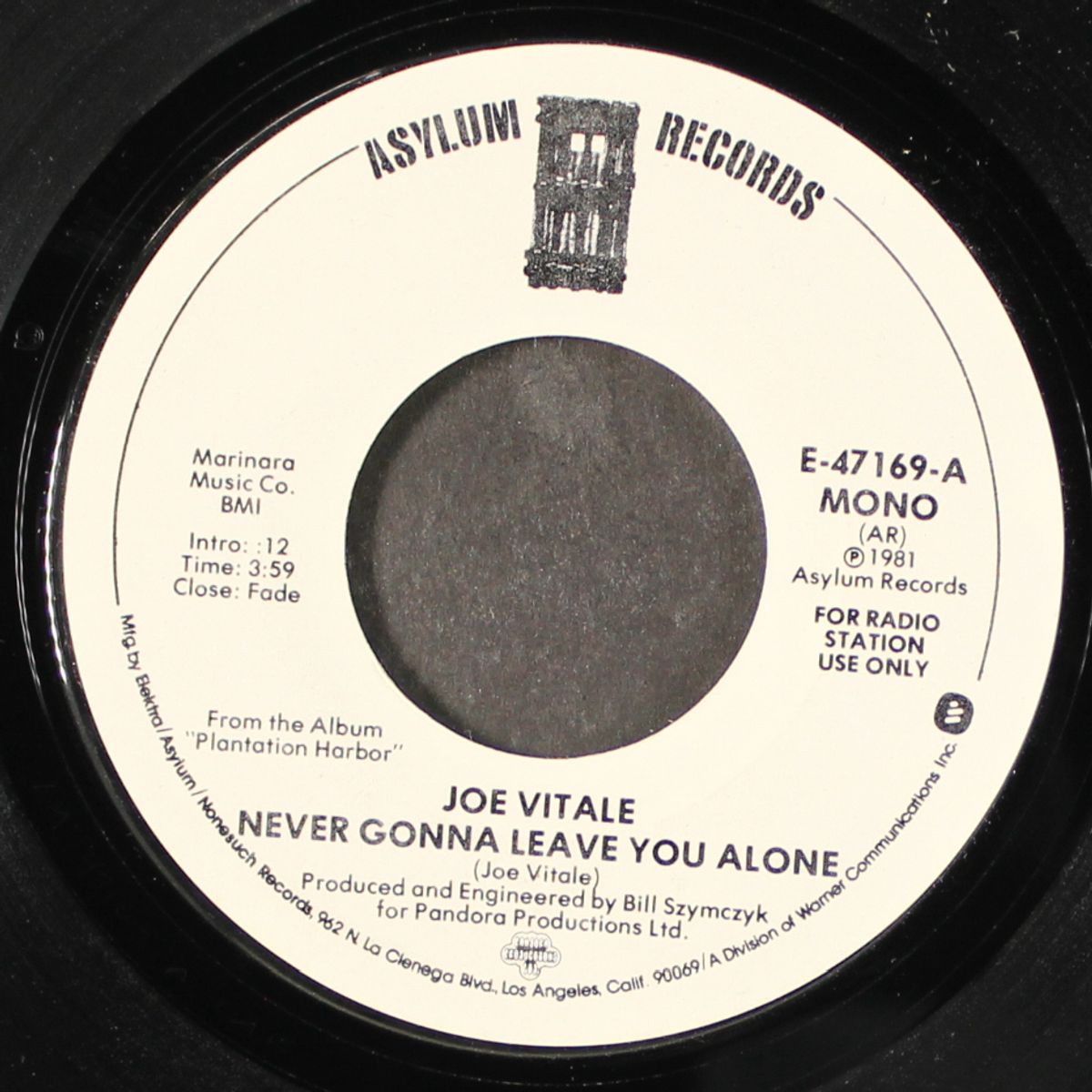never gonna leave you alone by JOE VITALE
