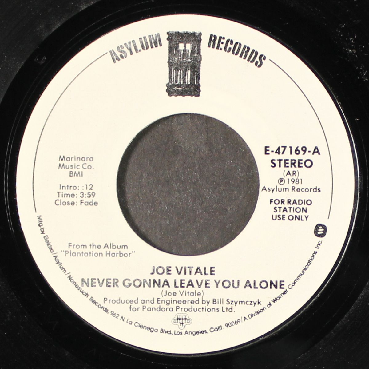 never gonna leave you alone by JOE VITALE