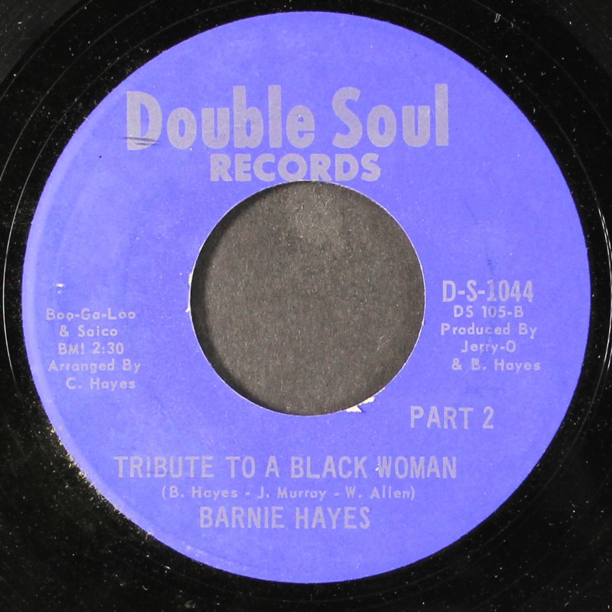 tribute to a black woman / part 2 by BARNIE HAYES
