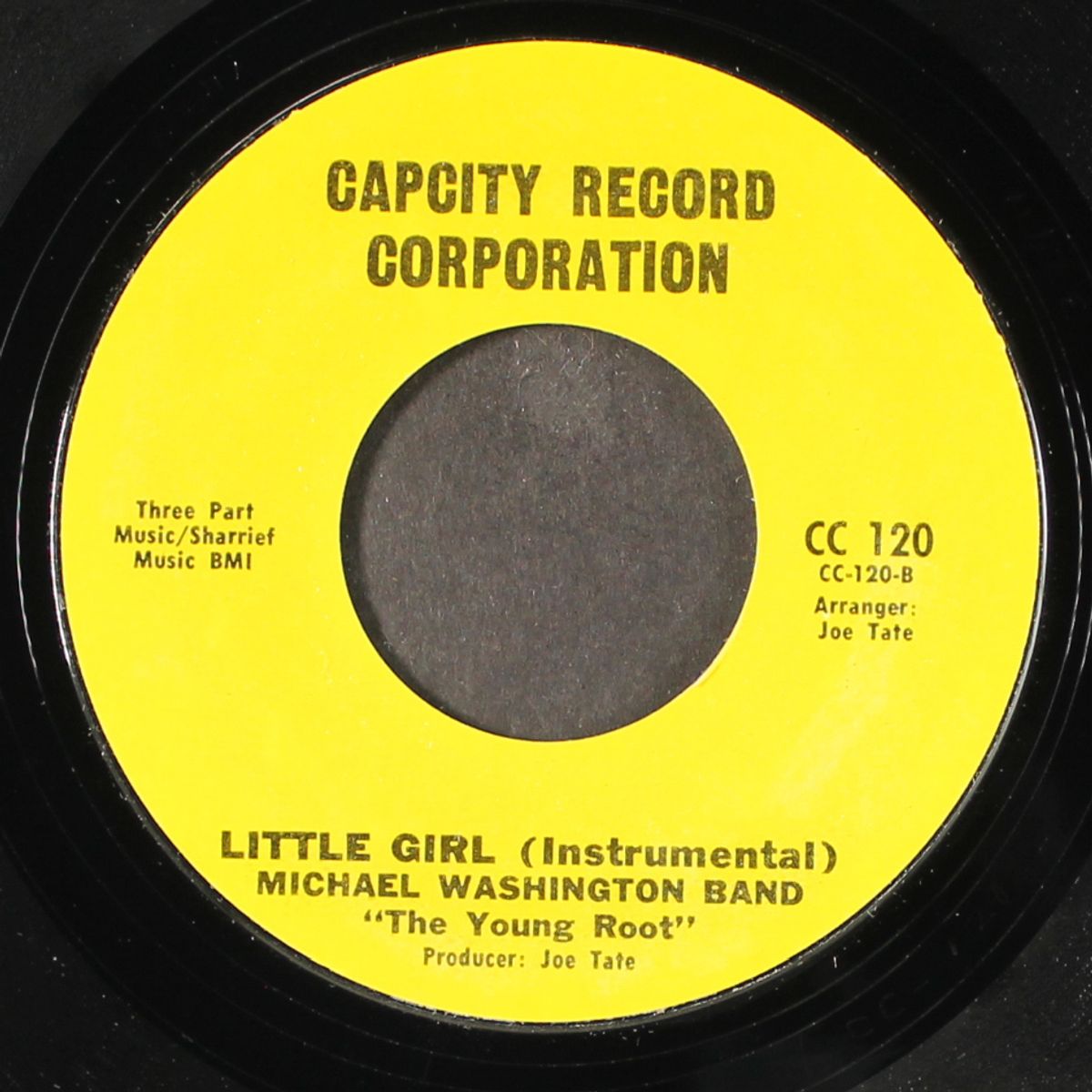 little girl / instrumental by MICHAEL WASHINGTON