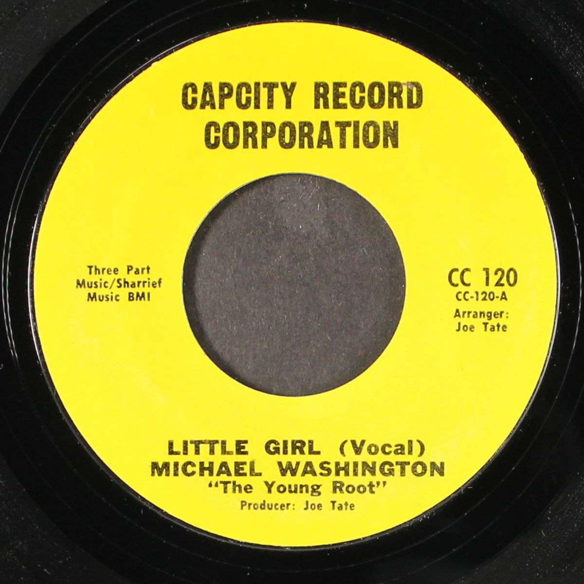 little girl / instrumental by MICHAEL WASHINGTON